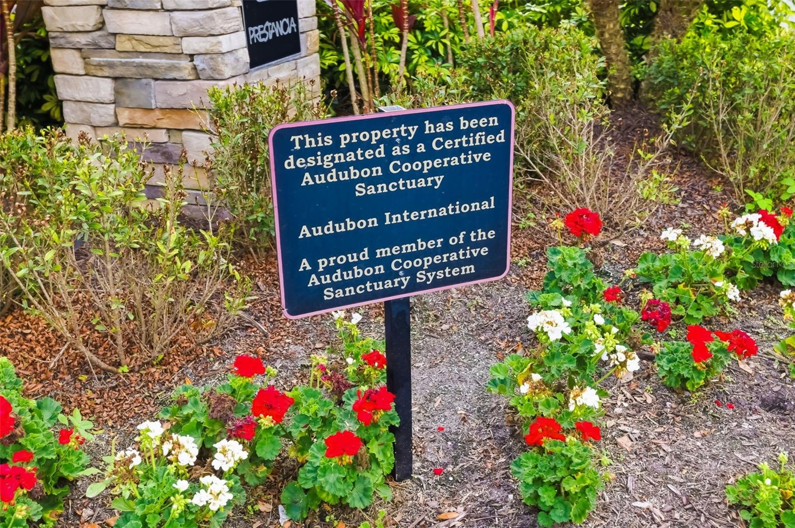 MONTE VERDE AT VILLA MIRADA - Residential