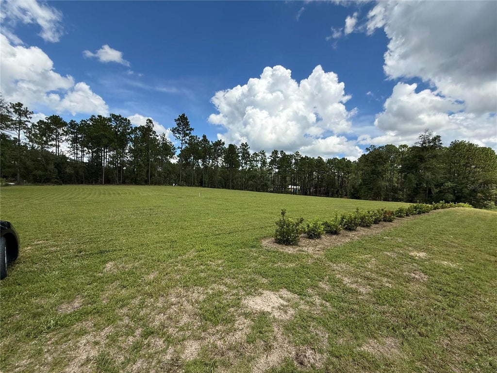 Photo of 7267 SW 129th Terrace Road, Ocala, FL 34481 (MLS # O6439813)