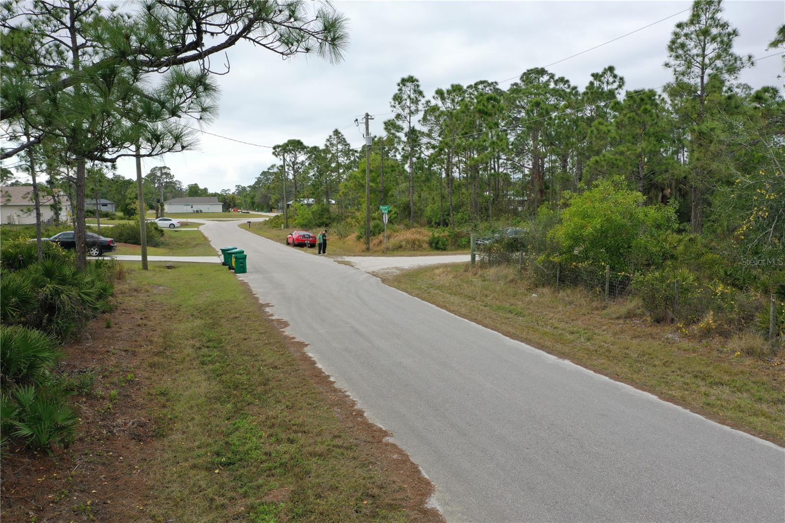 12365 RIPPLE DRIVE