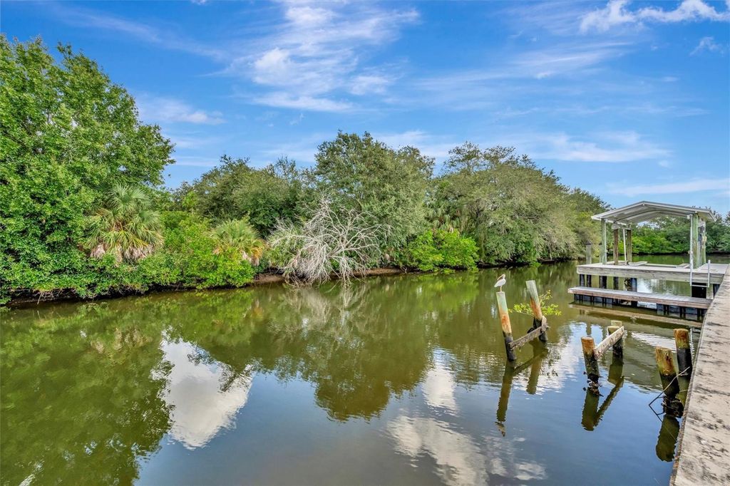 Photo of 236 N Saint Thomas Circle, Apollo Beach, FL 33572 (MLS # TB8437075)