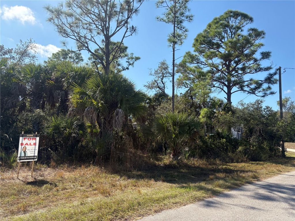 Photo of 14191 Darwin Avenue, Port Charlotte, FL 33953 (MLS # TB8464570)