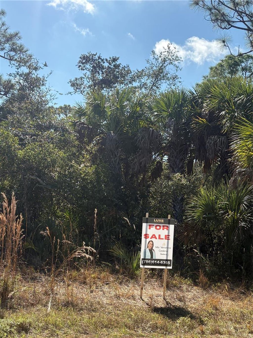 Photo of 14191 Darwin Avenue, Port Charlotte, FL 33953 (MLS # TB8464570)