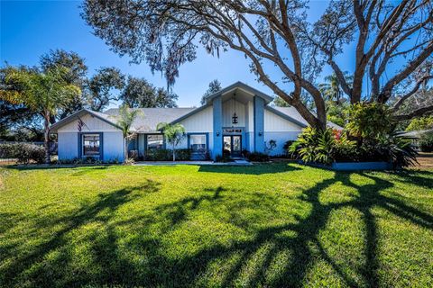 Photo of 15912 Armistead Lane, Odessa, FL 33556 (MLS # TB8473772)