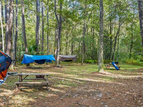 Tiny photo for 15260 NE 152nd Place, Fort Mccoy, FL 32134 (MLS # TB8448109)