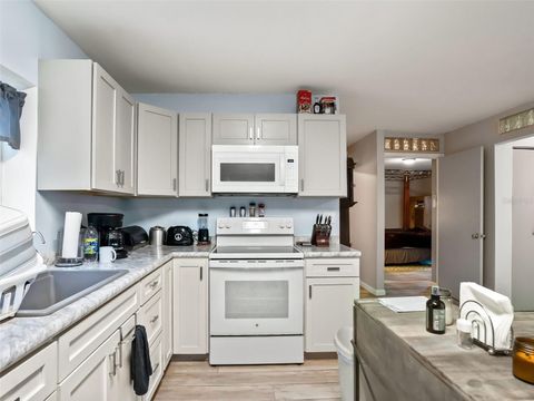 Tiny photo for 15260 NE 152nd Place, Fort Mccoy, FL 32134 (MLS # TB8448109)