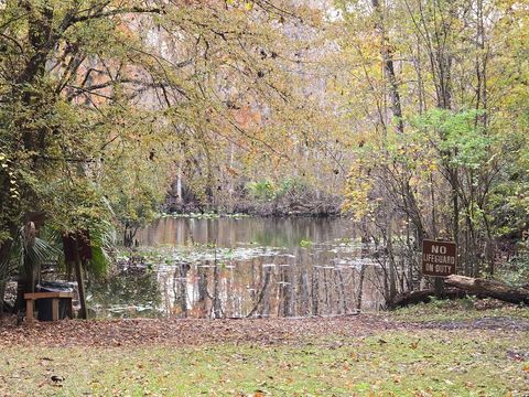 Tiny photo for 15260 NE 152nd Place, Fort Mccoy, FL 32134 (MLS # TB8448109)