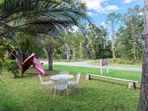 Tiny photo for 15260 NE 152nd Place, Fort Mccoy, FL 32134 (MLS # TB8448109)