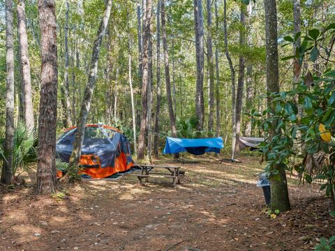 Tiny photo for 15260 NE 152nd Place, Fort Mccoy, FL 32134 (MLS # TB8448109)