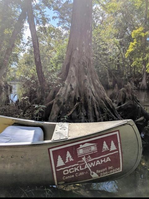 Tiny photo for 15260 NE 152nd Place, Fort Mccoy, FL 32134 (MLS # TB8448109)