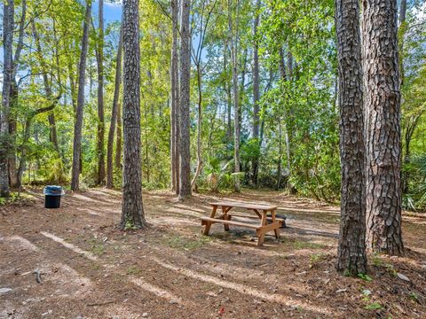 Tiny photo for 15260 NE 152nd Place, Fort Mccoy, FL 32134 (MLS # TB8448109)