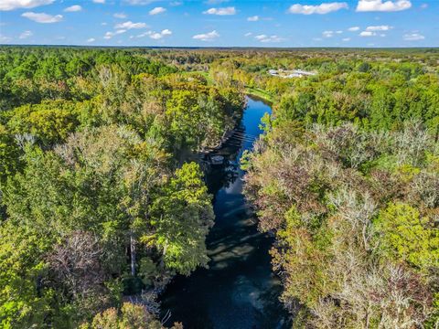 Tiny photo for 15260 NE 152nd Place, Fort Mccoy, FL 32134 (MLS # TB8448109)