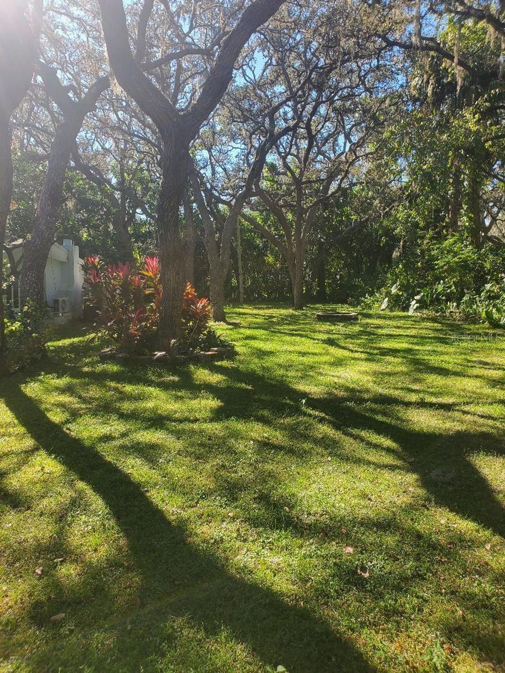 Photo of 11303 Chicago Avenue, New Port Richey, FL 34654 (MLS # W7879856)
