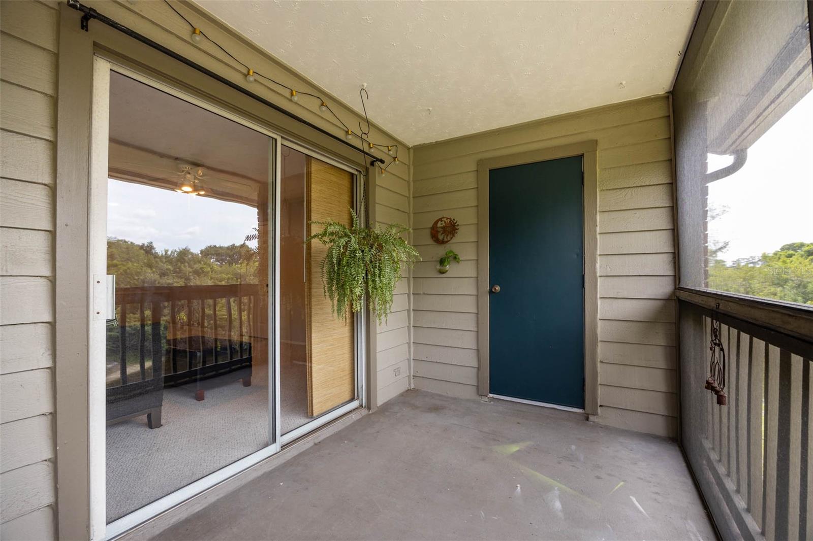 ENCLAVE AT ST PETERSBURG - Residential