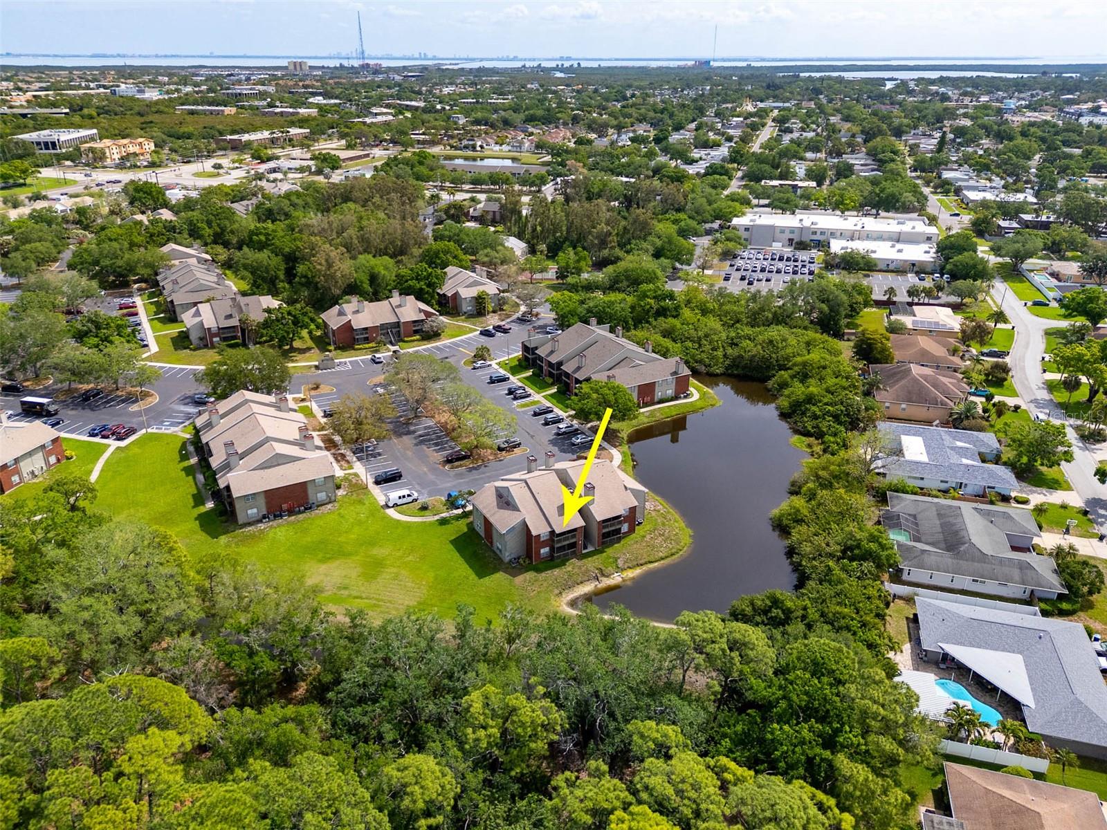 ENCLAVE AT ST PETERSBURG - Residential