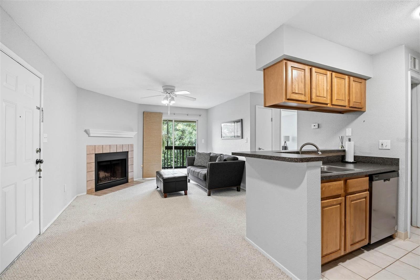 ENCLAVE AT ST PETERSBURG - Residential