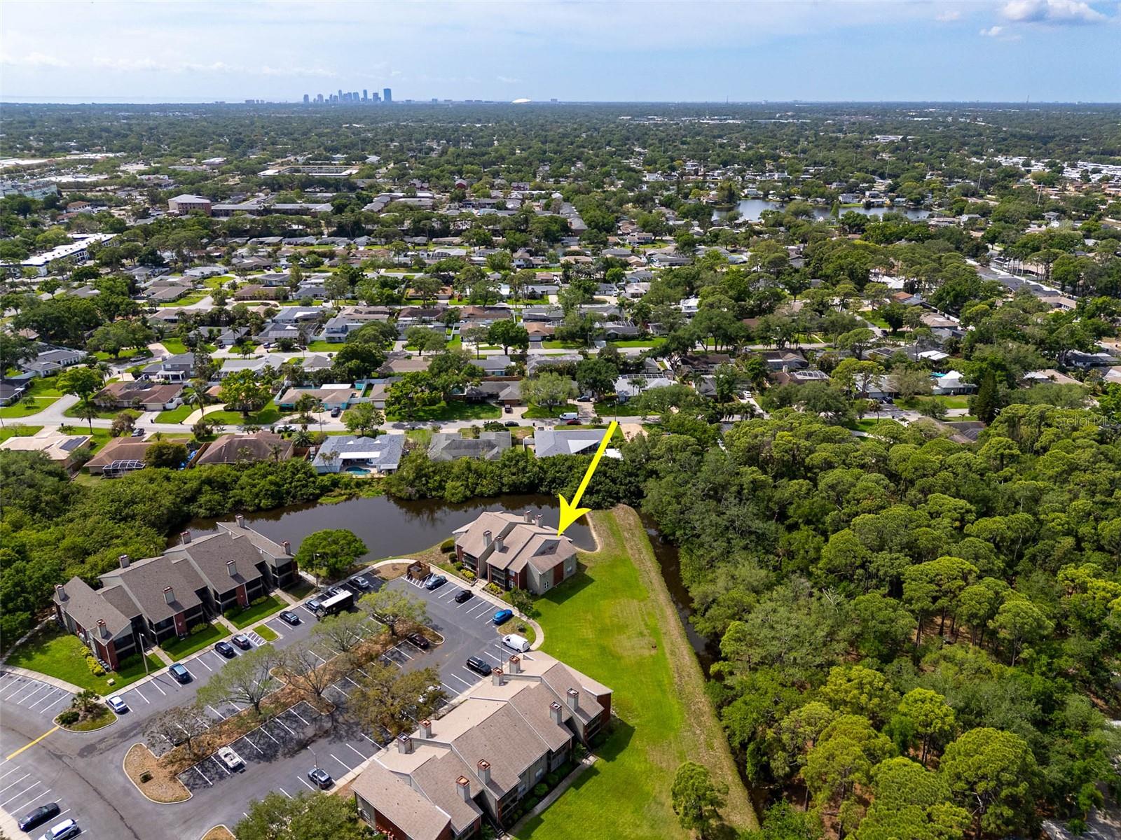 ENCLAVE AT ST PETERSBURG - Residential