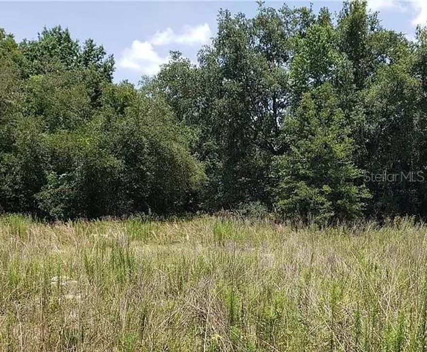 Discover the potential of this 0.23-acre lot in Inverness Acres—an ideal opportunity for those looking to build, invest, or hold for future value. Nestled in a quiet, lightly developed area, this property offers a peaceful setting while still being conveniently located near local amenities. Whether you're planning a site-built home or exploring land investment opportunities, this parcel provides flexibility and affordability. Don’t miss your chance to own a piece of land in a growing area with plenty of upside.