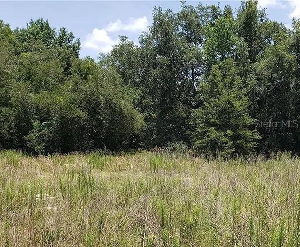 Photo of 2412 Van Buren Street, Inverness, FL 34453 (MLS # TB8499370)