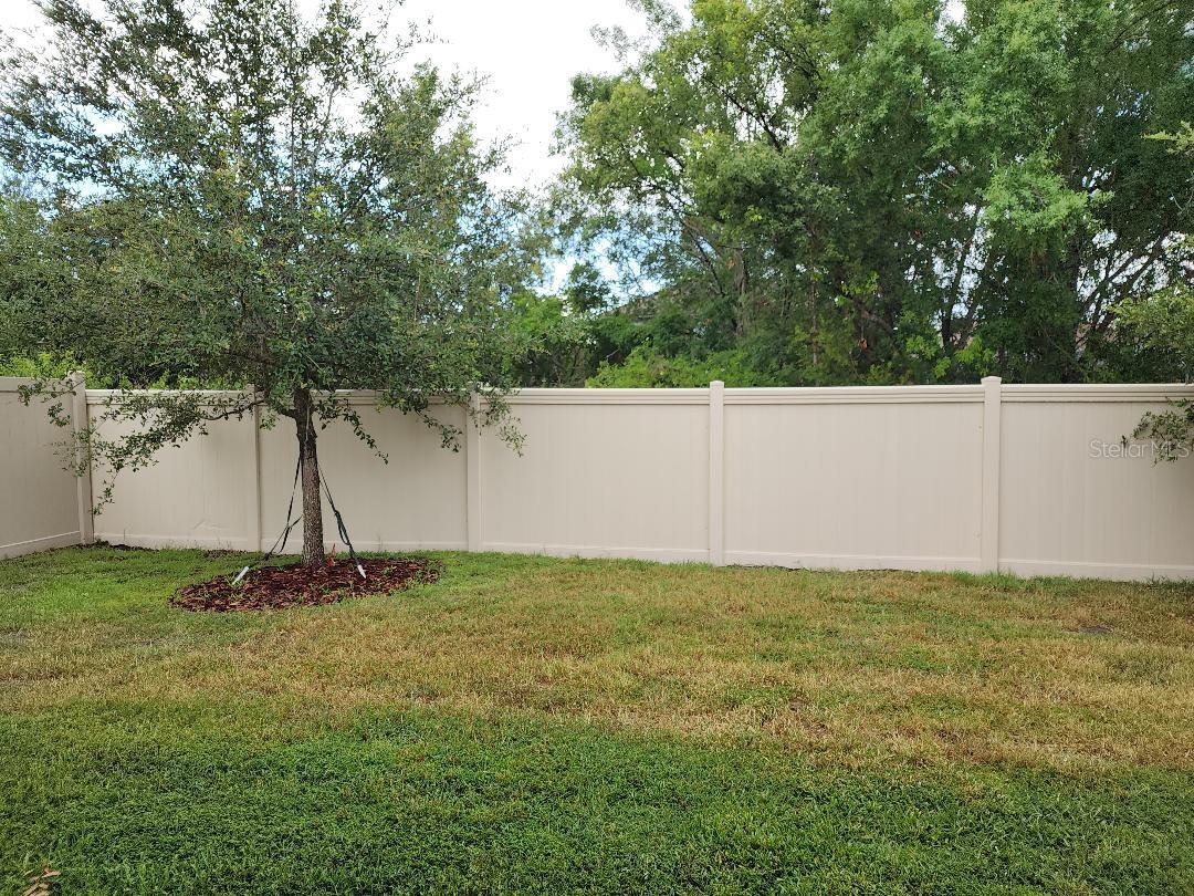 31420 TANSY BEND