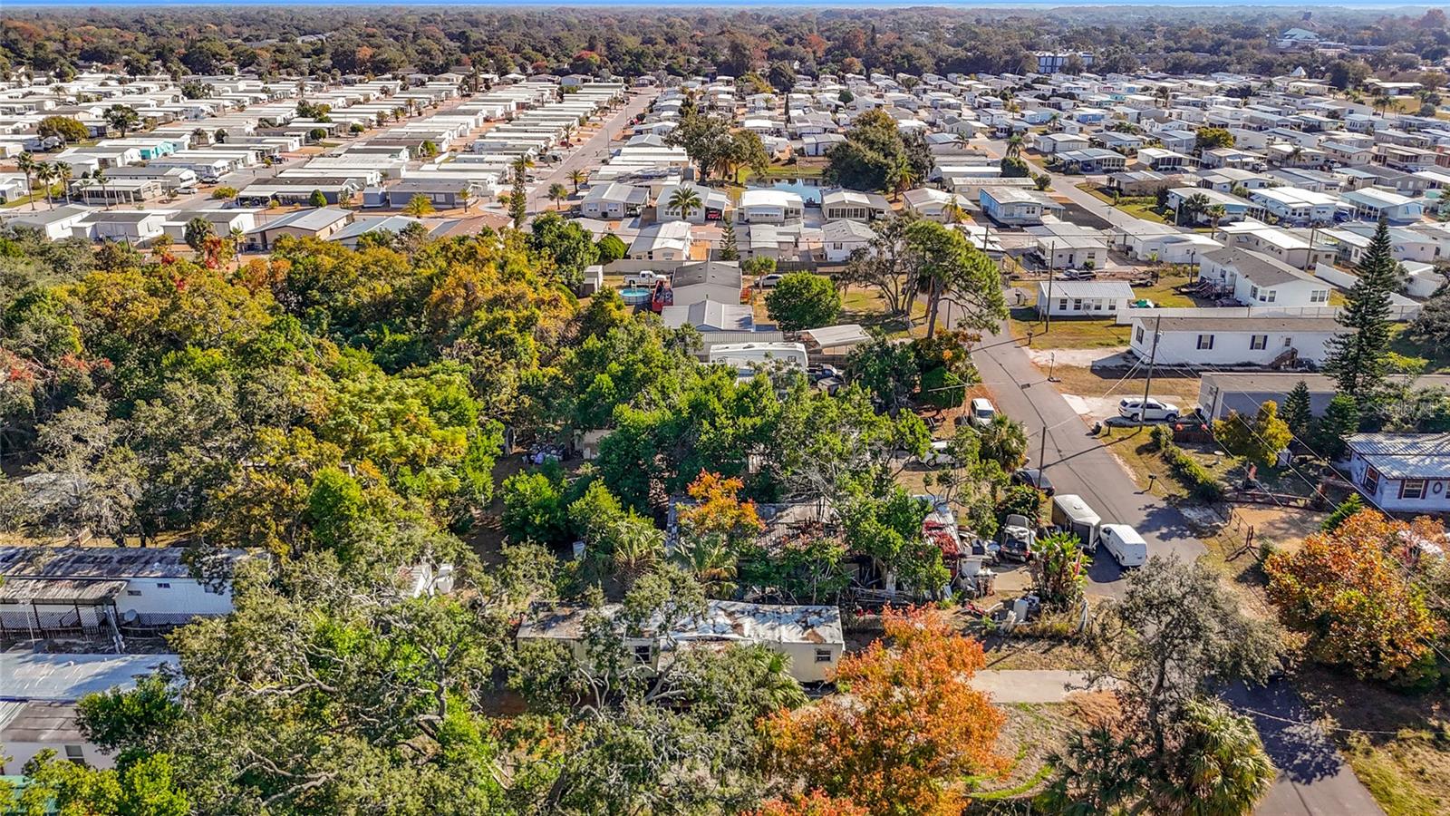 BAYONET POINT ANNEX - Residential