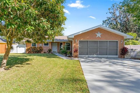 Photo of 2213 Needle Palm Drive, Edgewater, FL 32141 (MLS # O6368650)