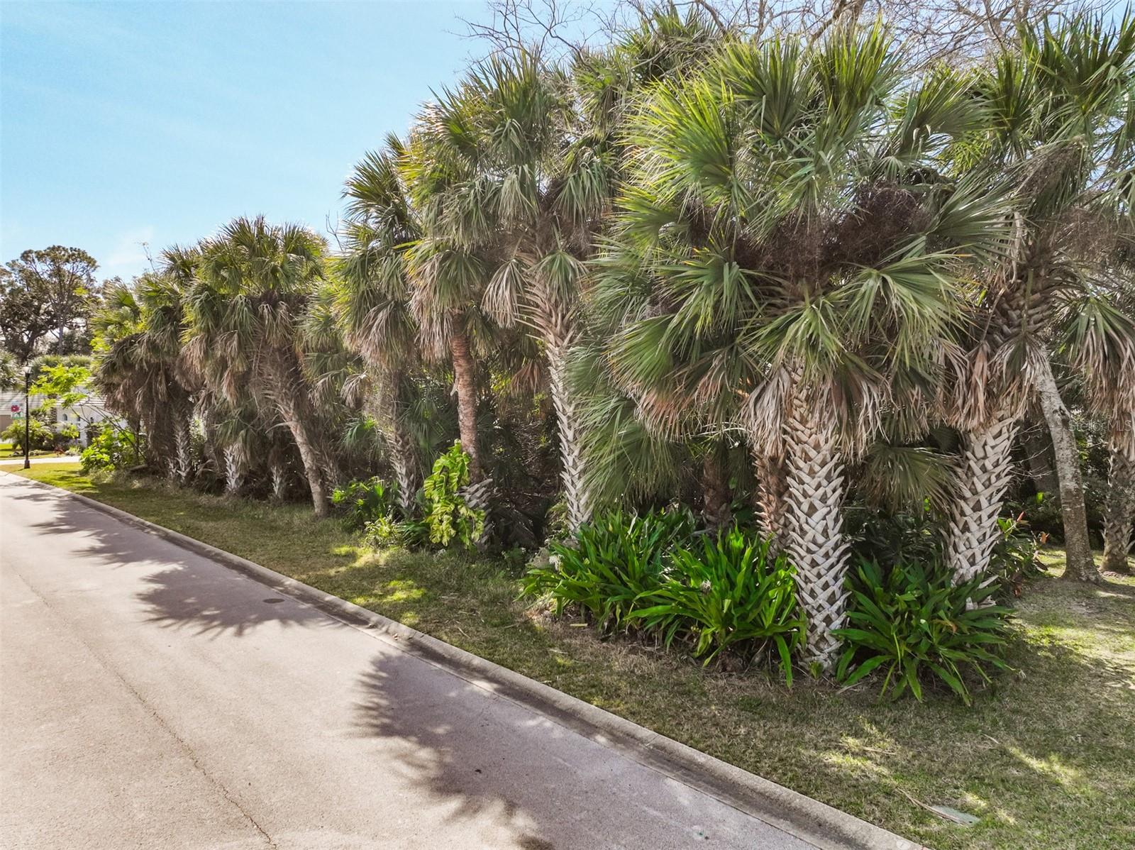 VILLAGE AT PALM COAST PH 01 - Land