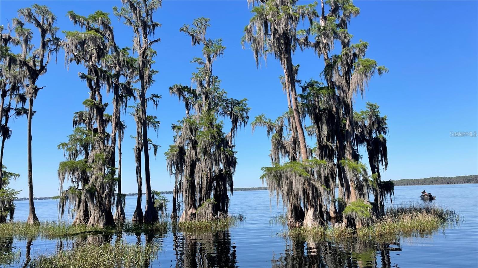 SEMINOLE RIDGE #4 - Residential