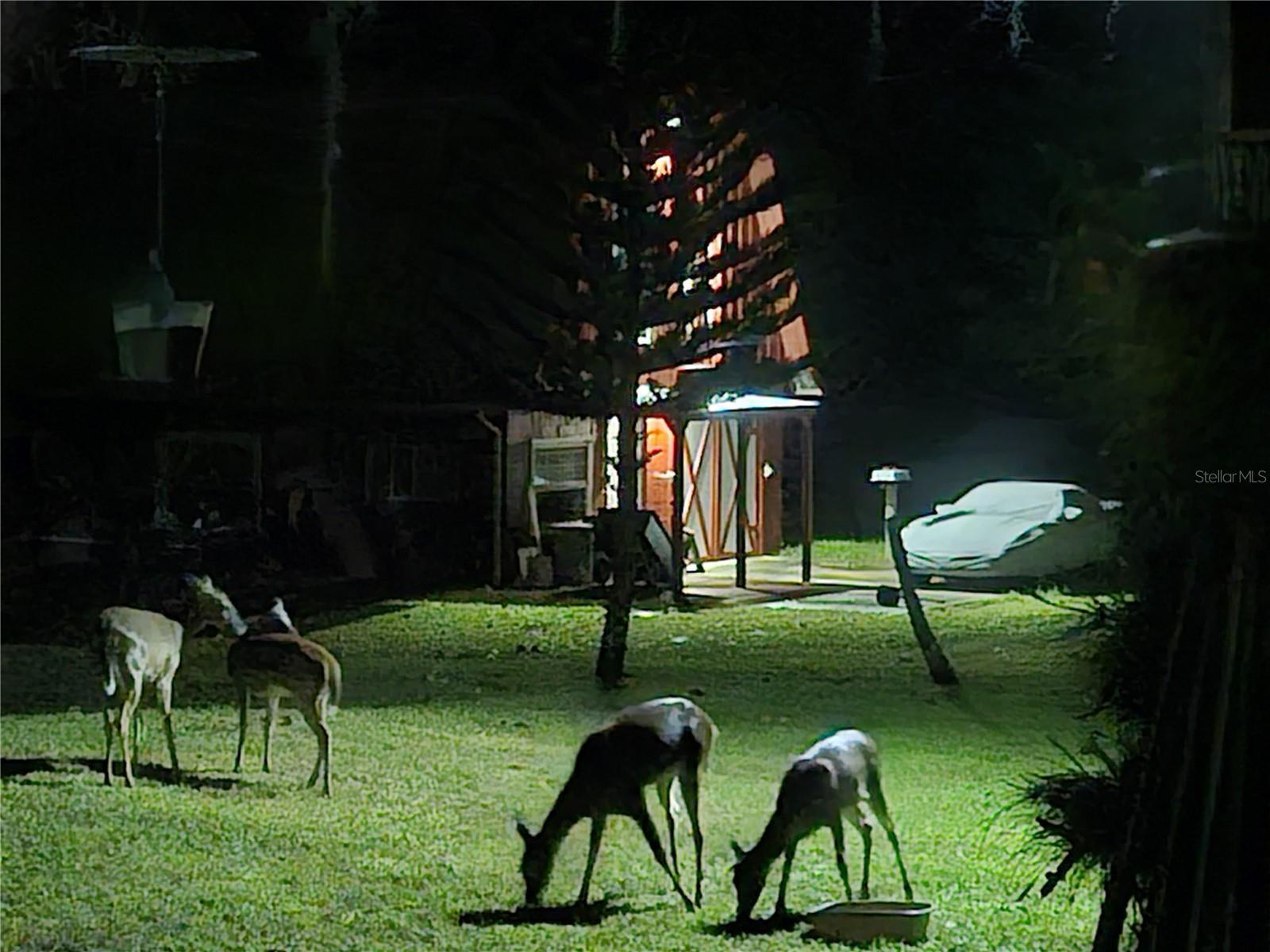 EAST PINE ACRES - Residential