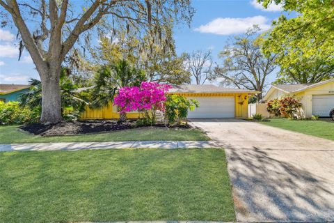 2124 CROWSNEST DRIVE PALM HARBOR FL 34685
