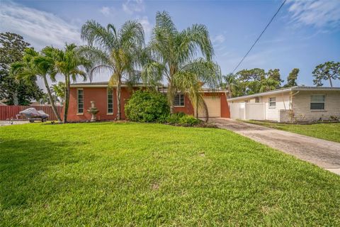 51 CYPRESS DRIVE PALM HARBOR FL 34684