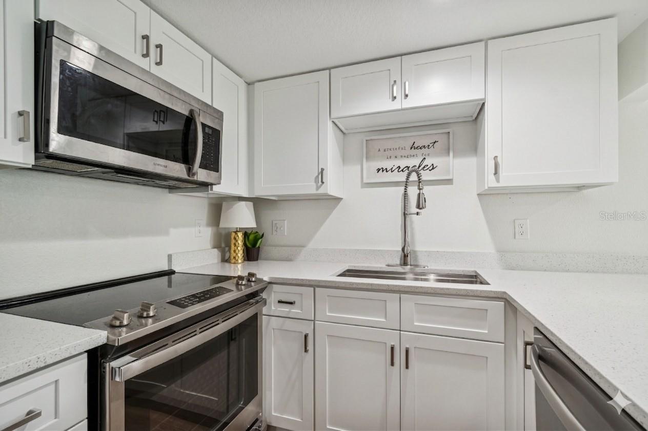 PALMS OF TARPON SPGS THE CONDO - Residential