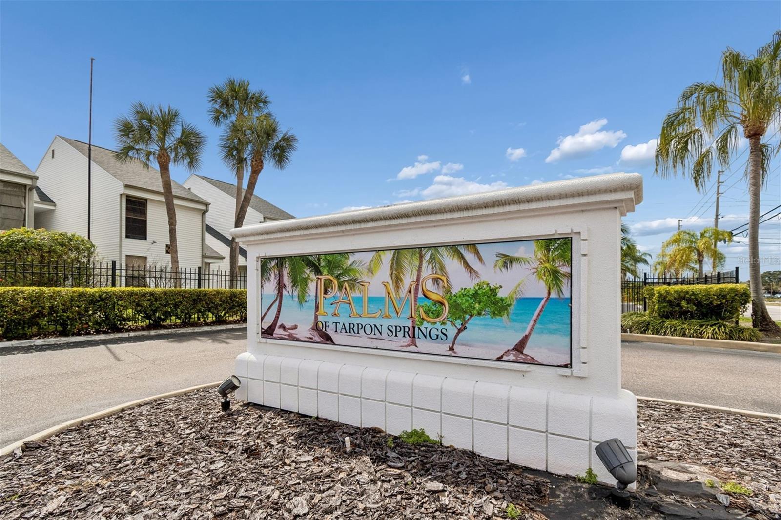 PALMS OF TARPON SPGS THE CONDO - Residential