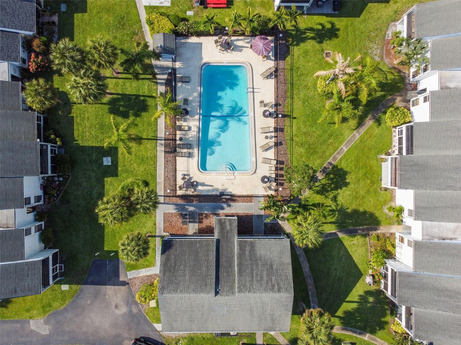 PALMS OF TARPON SPGS THE CONDO - Residential