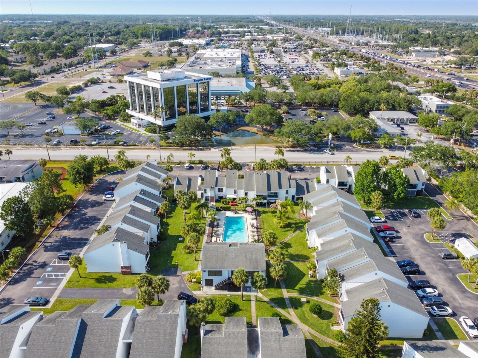 PALMS OF TARPON SPGS THE CONDO - Residential