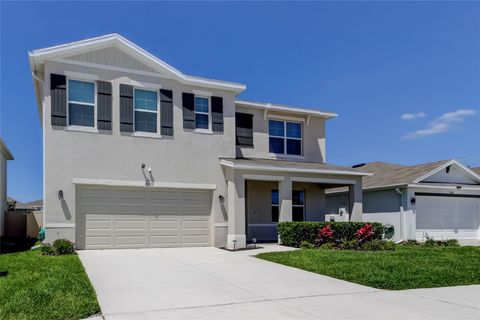 2933 MAIDEN GRASS ISLE WESLEY CHAPEL FL 33543