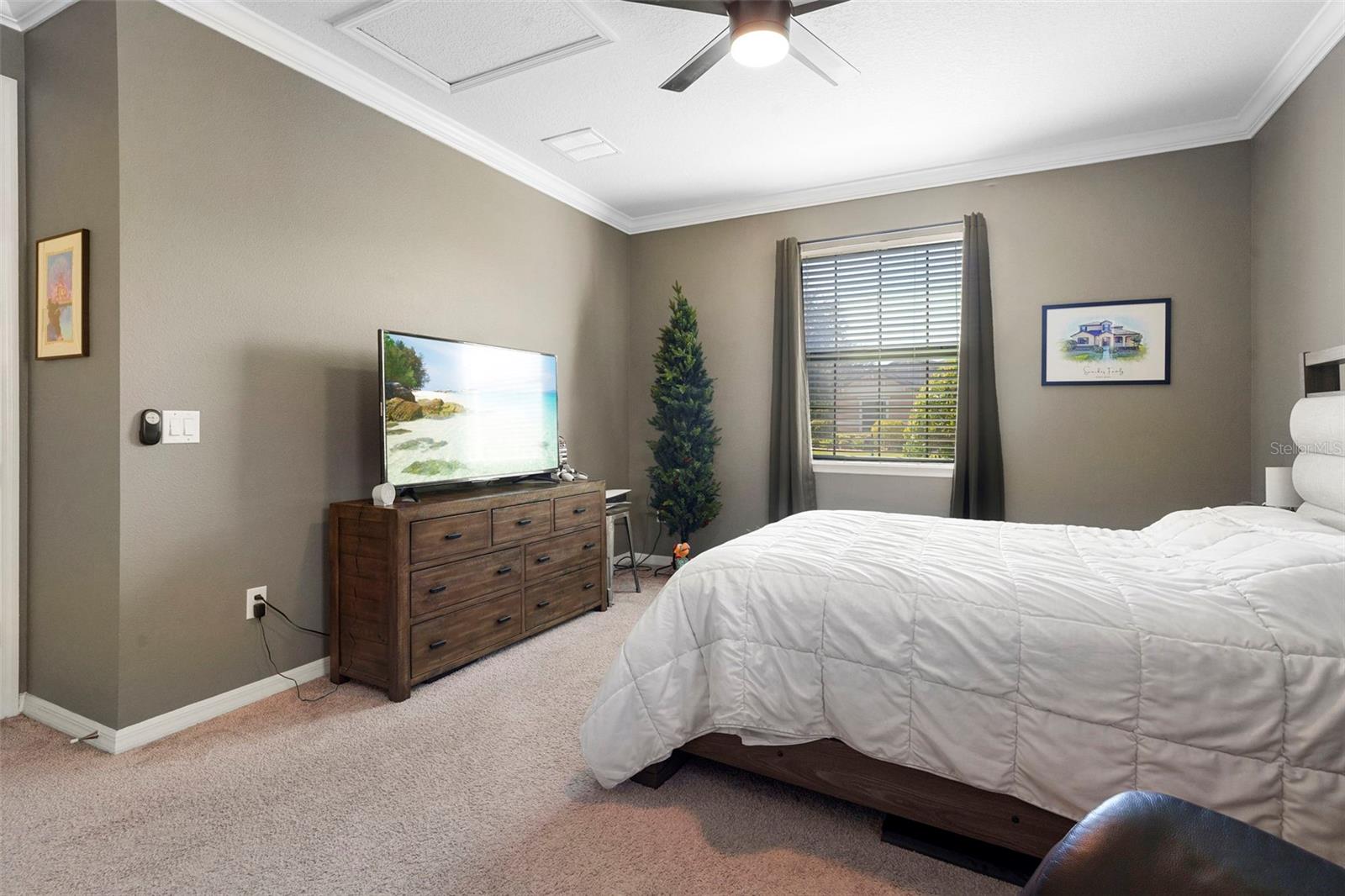 WINDERMERE TERRACE - Residential