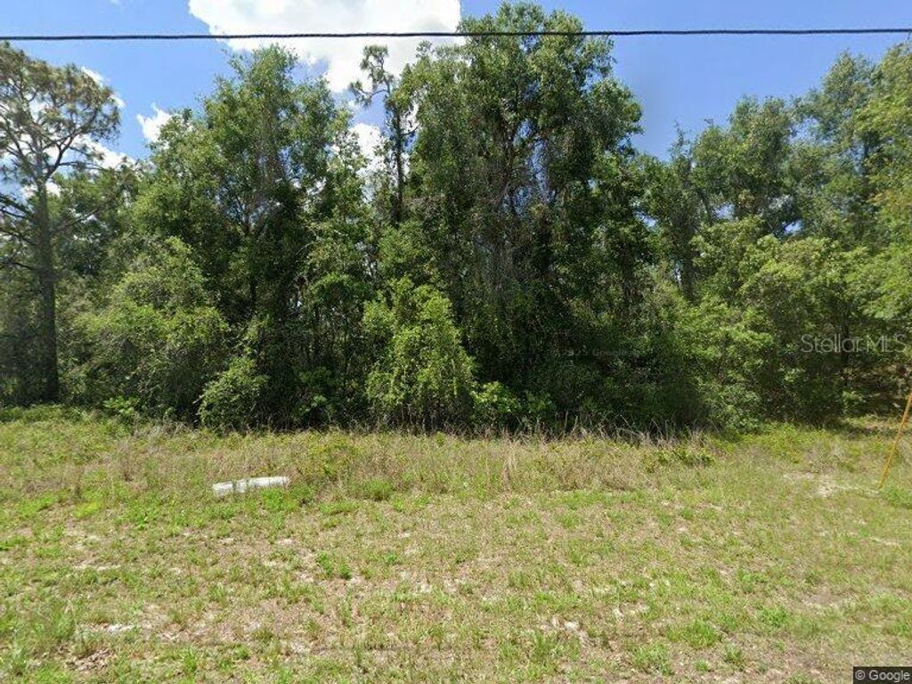 Photo of Idle A While Circle, Dade City, FL 33523 (MLS # TB8465677)