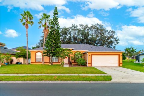 A home in KISSIMMEE