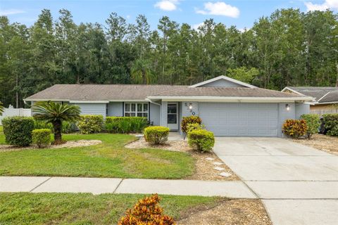 Photo of 5330 Black Pine Drive, Tampa, FL 33624 (MLS # TB8425258)
