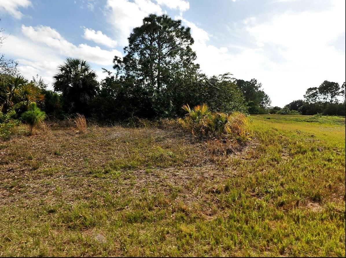 Claim your slice of sunny Florida! This lot offers easy access to Highway 75, putting you near all the conveniences Florida has to offer. Located in an X flood zone, it's the perfect spot to build your dream home with added peace of mind.
