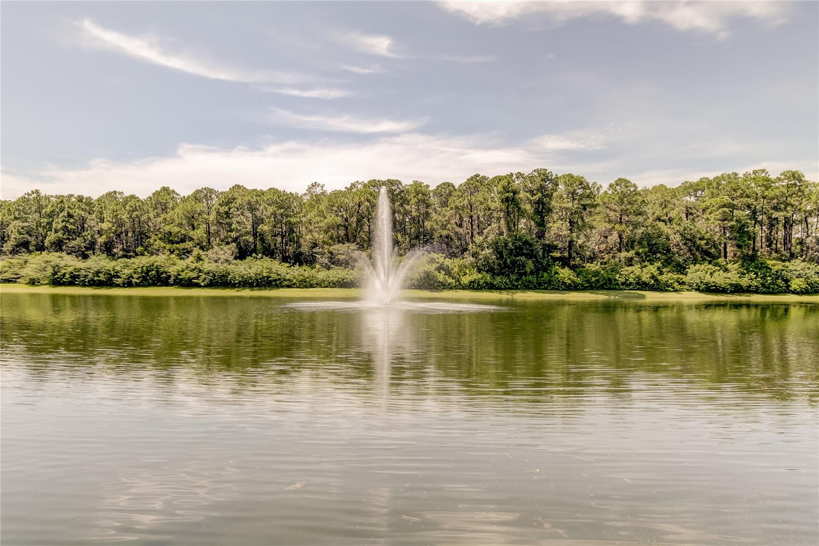 HAMPTON LAKES AT MAIN STREET - Residential Lease