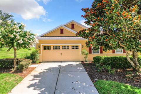 A home in MOUNT DORA