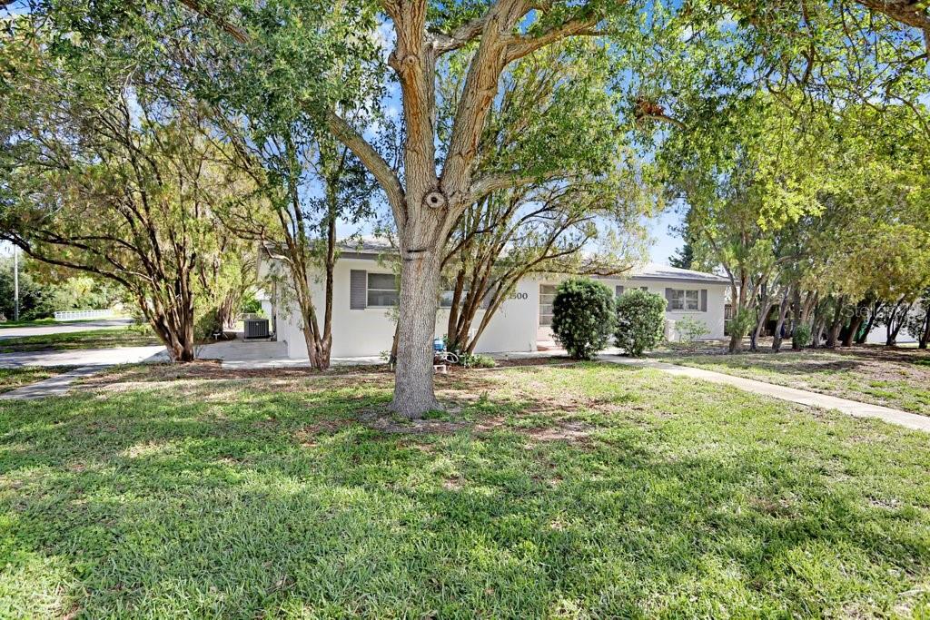 PINE OAK - Residential