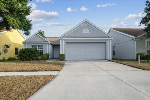 A home in RIVERVIEW