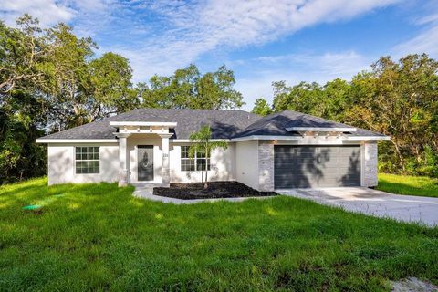 A home in ORANGE CITY