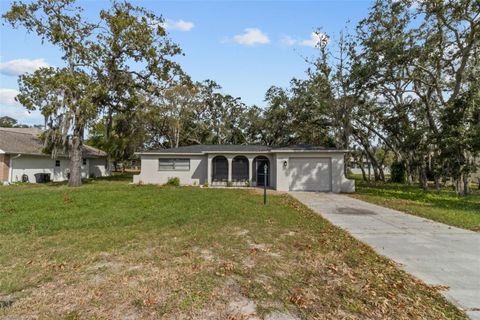 A home in SPRING HILL