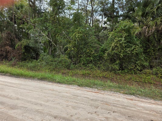 2096 ORANGE ST, BUNNELL, FL 32110 - Image 819deccae40c7a9760c7735c4a04fa65/1763936152