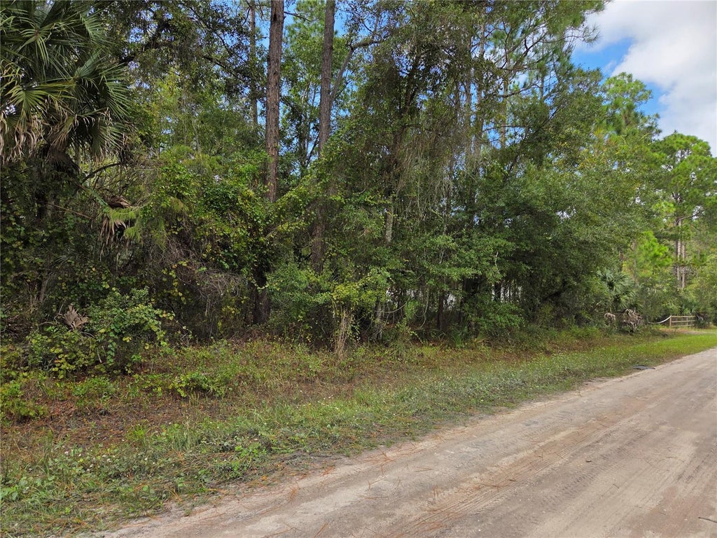 Photo of 2096 Orange Street, Bunnell, FL 32110 (MLS # FC322248)