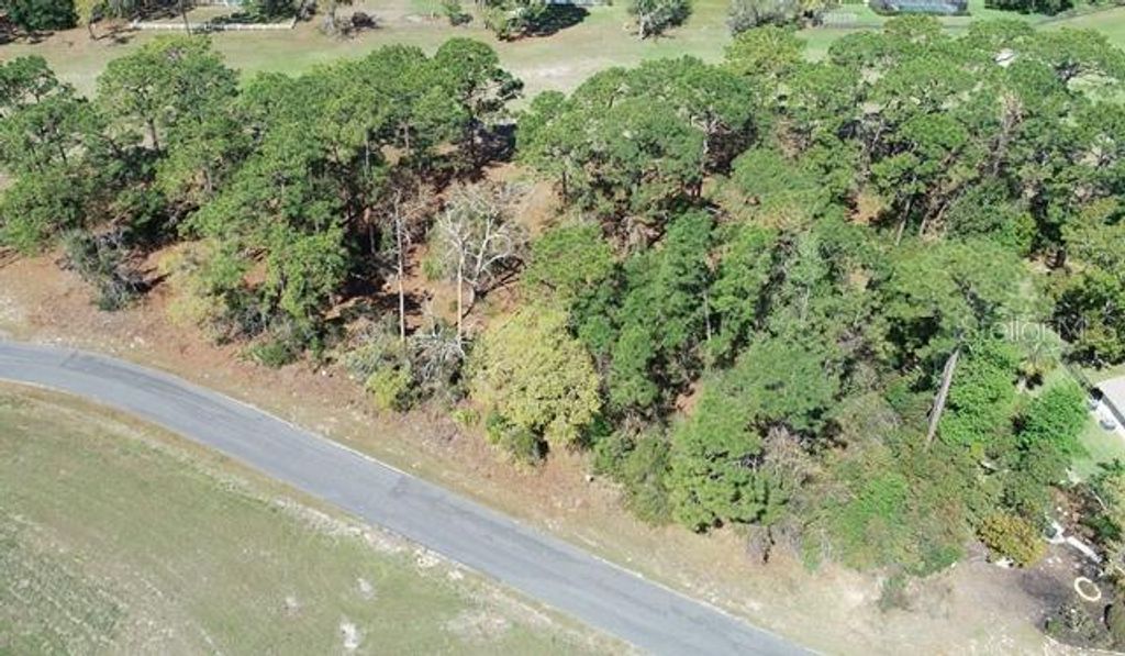 Photo of 5339 Keysville Avenue, Spring Hill, FL 34608 (MLS # W7873438)