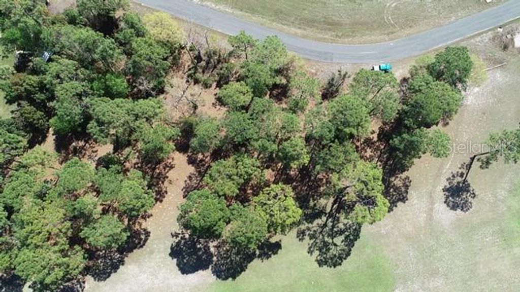 Photo of 5339 Keysville Avenue, Spring Hill, FL 34608 (MLS # W7873438)